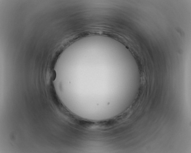 X0000115650504200911101119