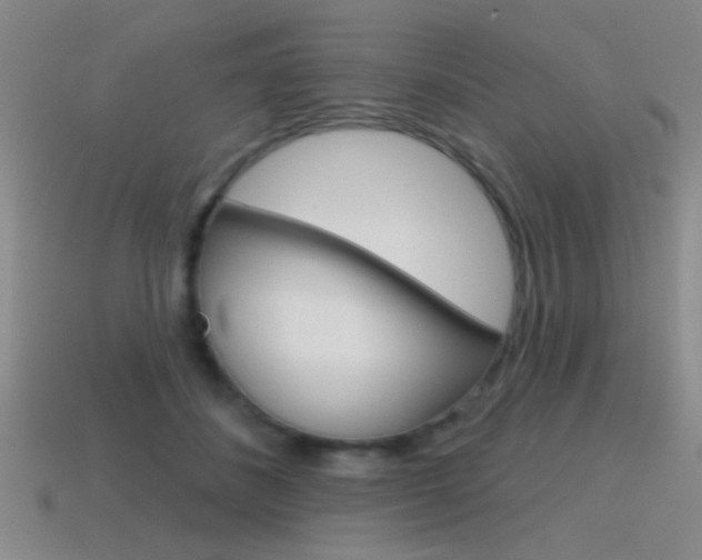 X0000115650508200911101119