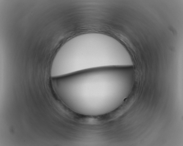 X0000115650509200911101119