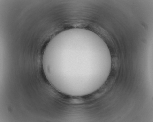 X0000115650510200911101119