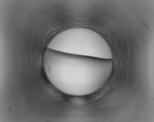 X0000115650511200911101119