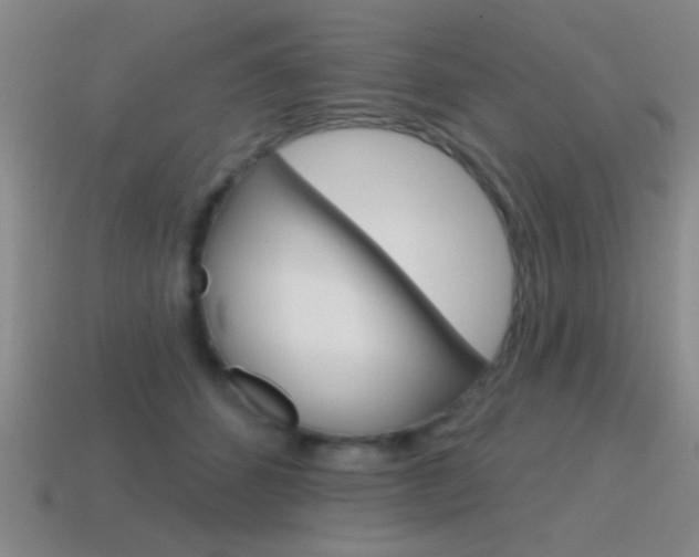 X0000115650512200911101119