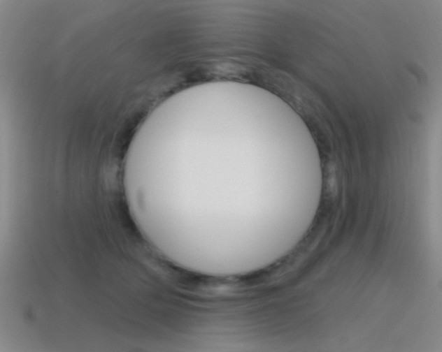 X0000115650514200911101119