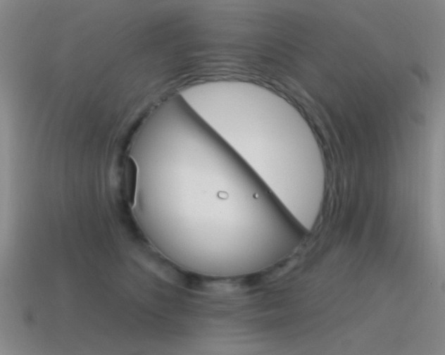 X0000115650516200911101119