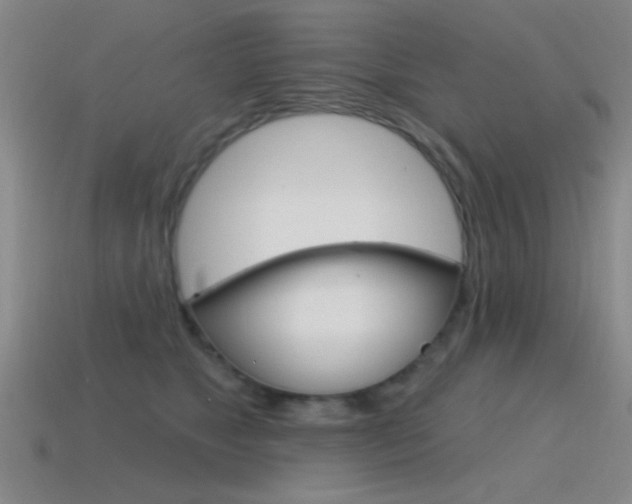 X0000115650517200911101119