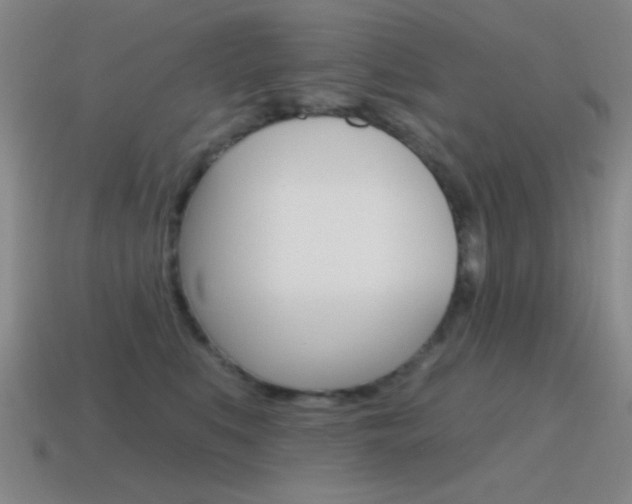 X0000115650519200911101119