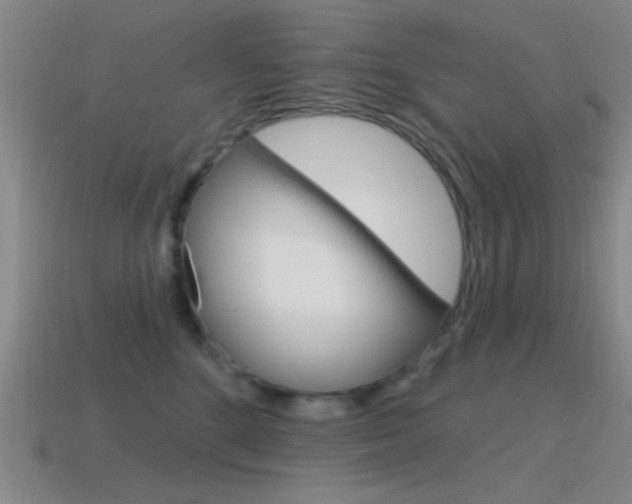X0000115650520200911101119