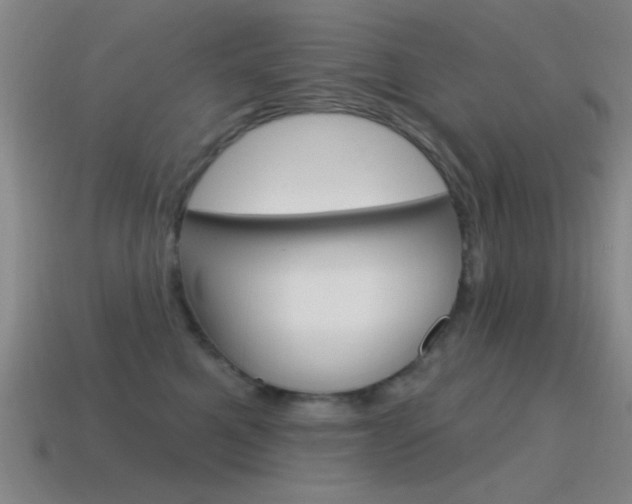 X0000115650521200911101119