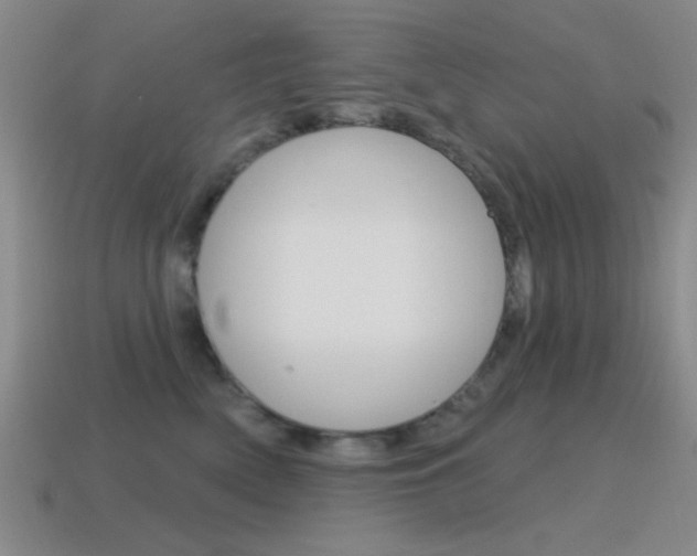 X0000115650522200911101119