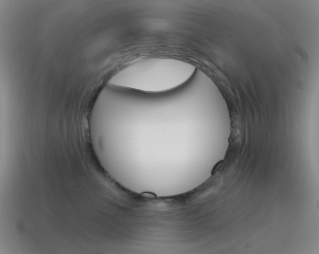 X0000115650523200911101119
