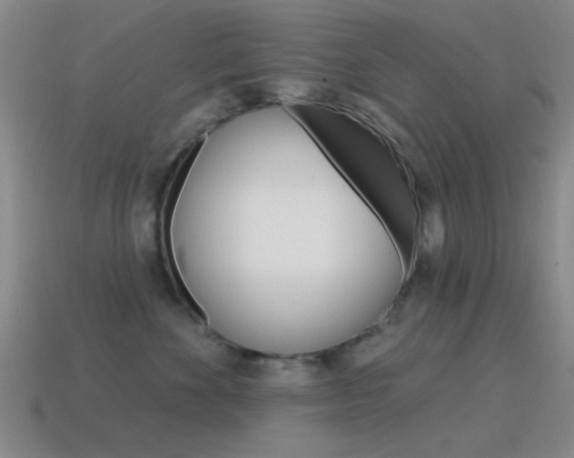 X0000115650524200911101119