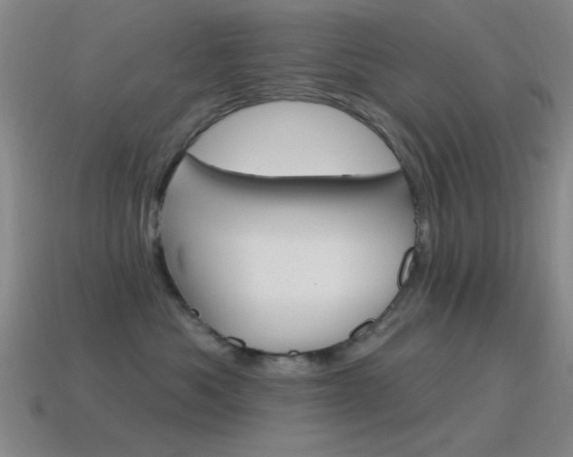 X0000115650525200911101119