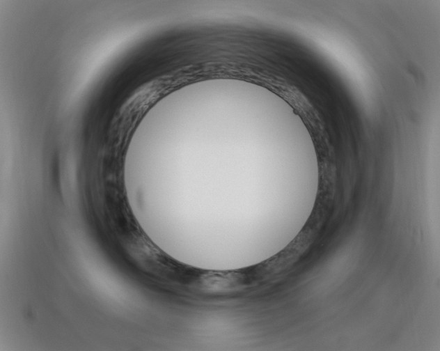 X0000115650526200911101119