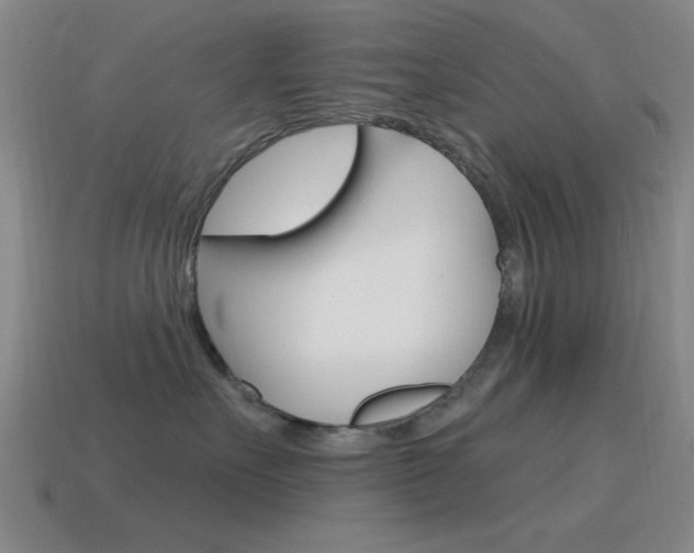 X0000115650527200911101119