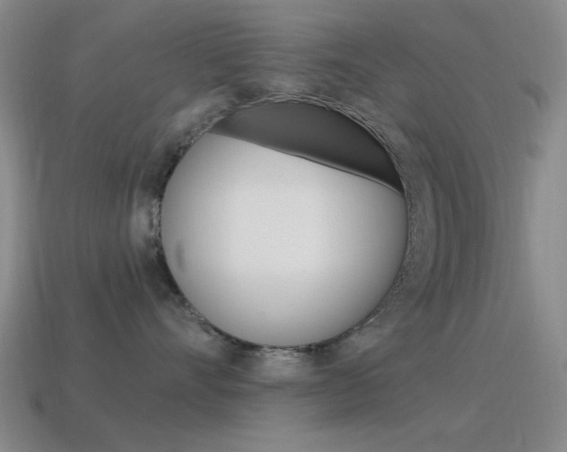 X0000115650528200911101119