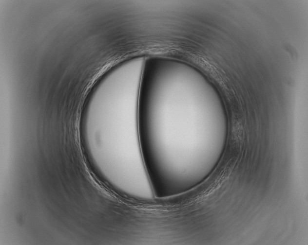 X0000115650530200911101118