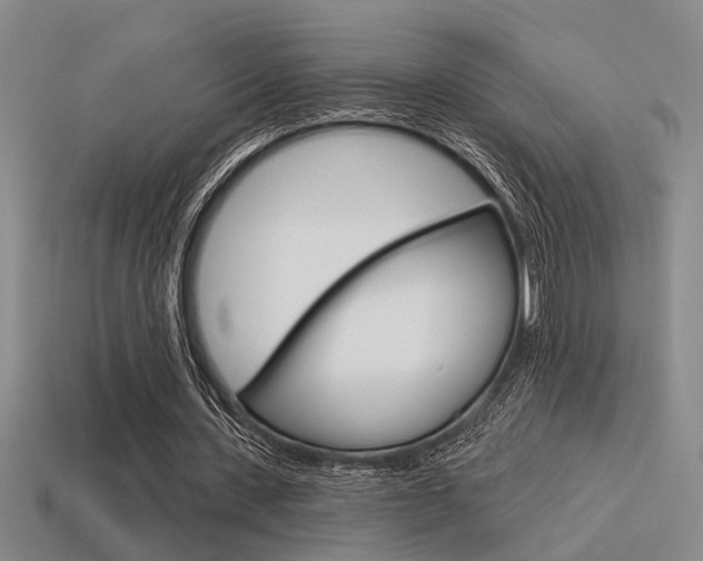 X0000115650531200911101118
