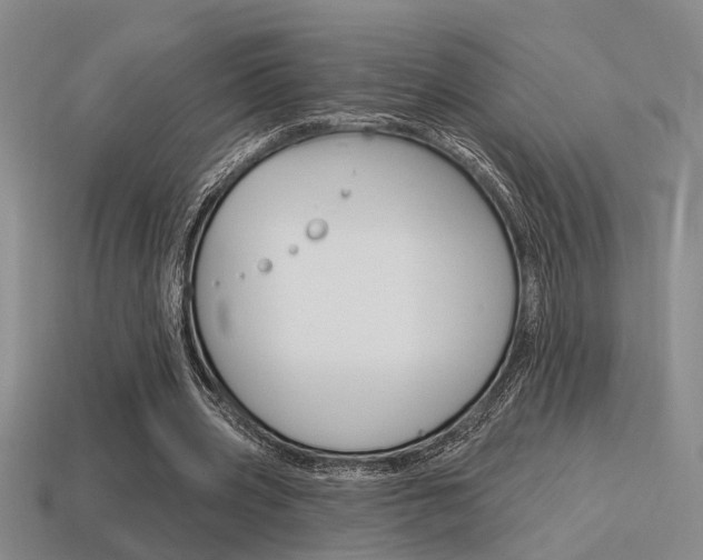 X0000115650533200911101118