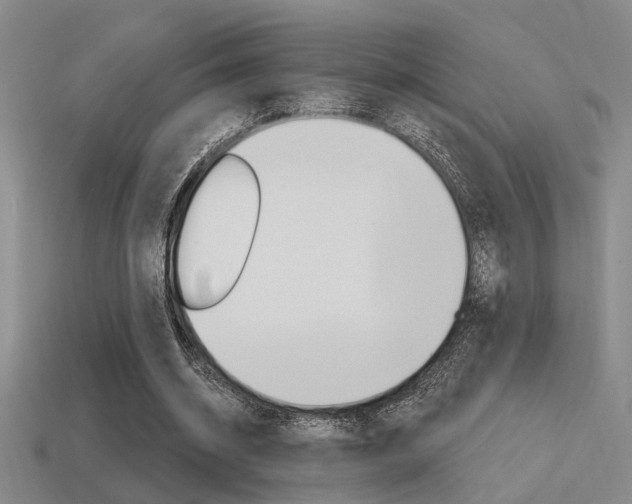 X0000115650534200911101118