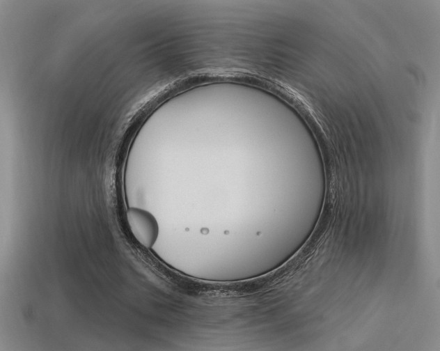 X0000115650535200911101118