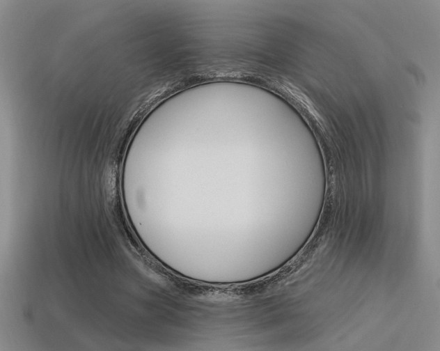 X0000115650537200911101118