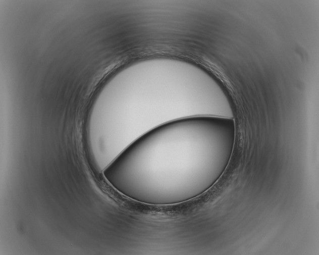 X0000115650538200911101118