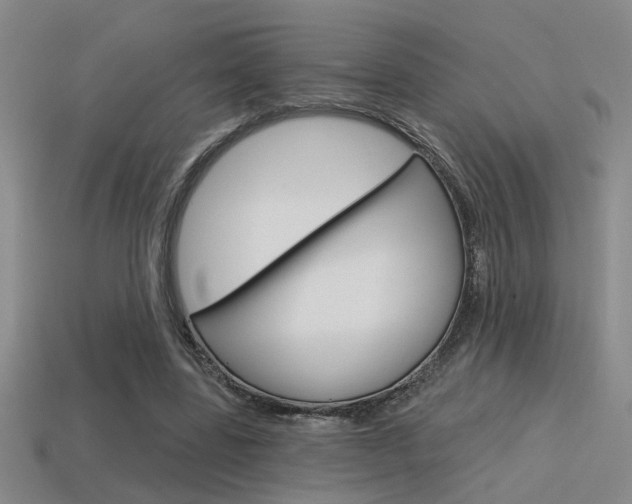 X0000115650539200911101118