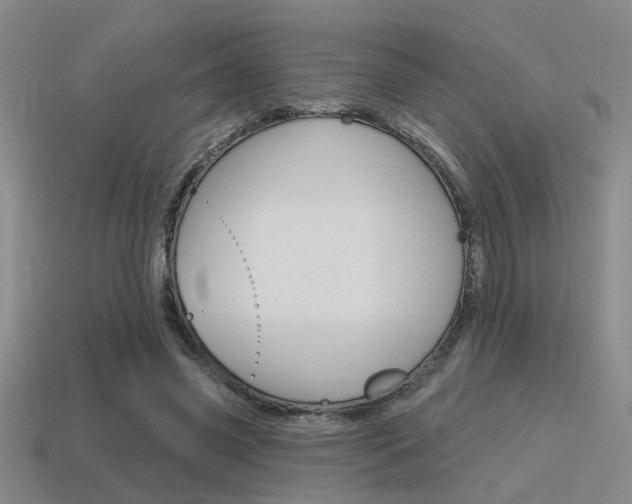 X0000115650541200911101118