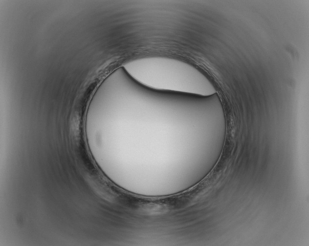 X0000115650542200911101118