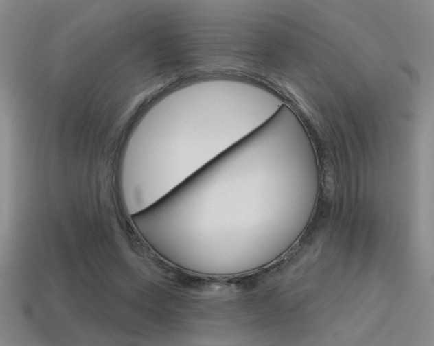 X0000115650543200911101118