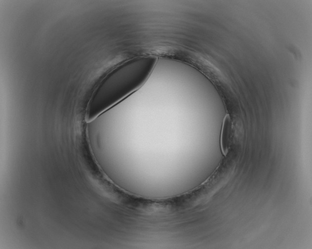 X0000115650546200911101118