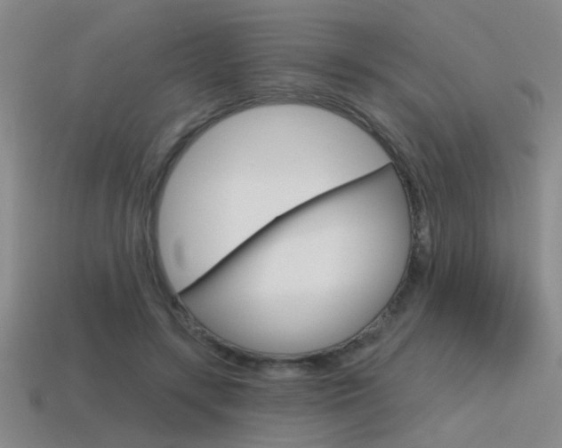X0000115650547200911101118