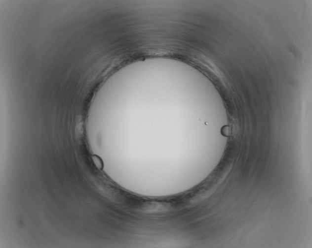 X0000115650549200911101118