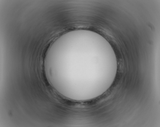 X0000115650550200911101118