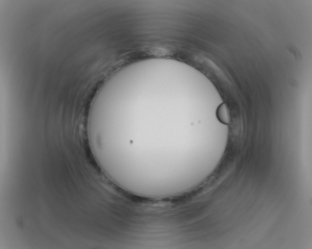 X0000115650553200911101118