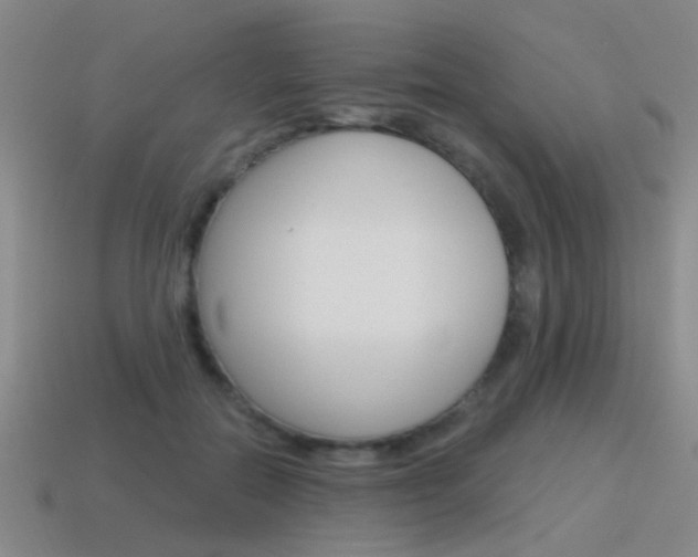 X0000115650554200911101118