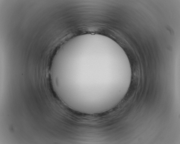 X0000115650555200911101118