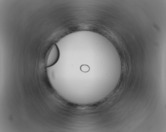 X0000115650557200911101119