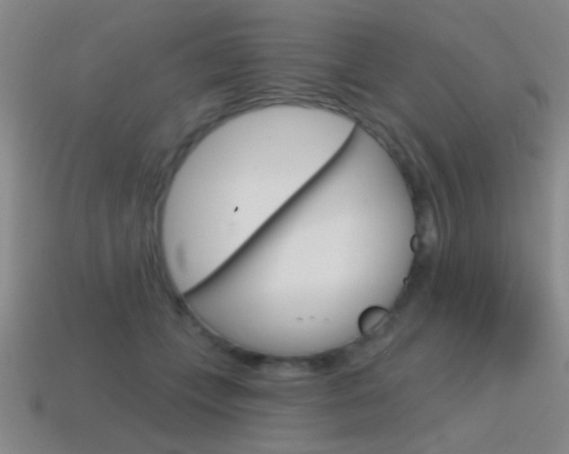 X0000115650559200911101119