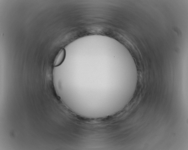 X0000115650561200911101119