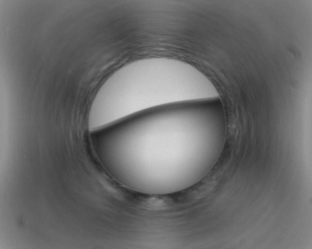 X0000115650566200911101119