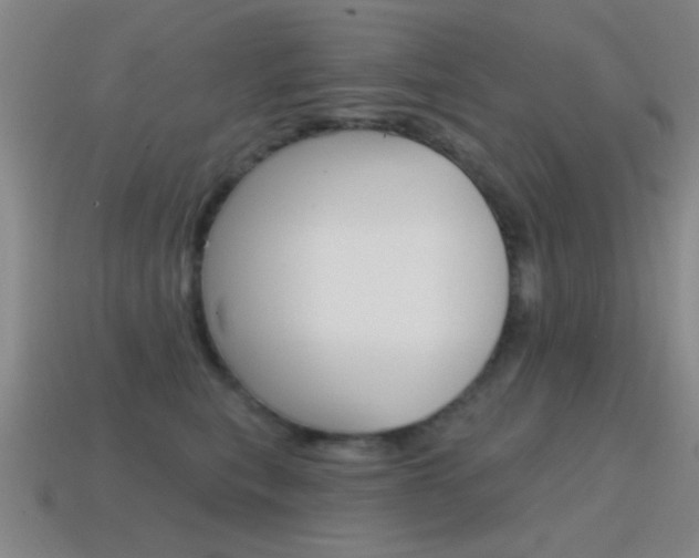 X0000115650567200911101119
