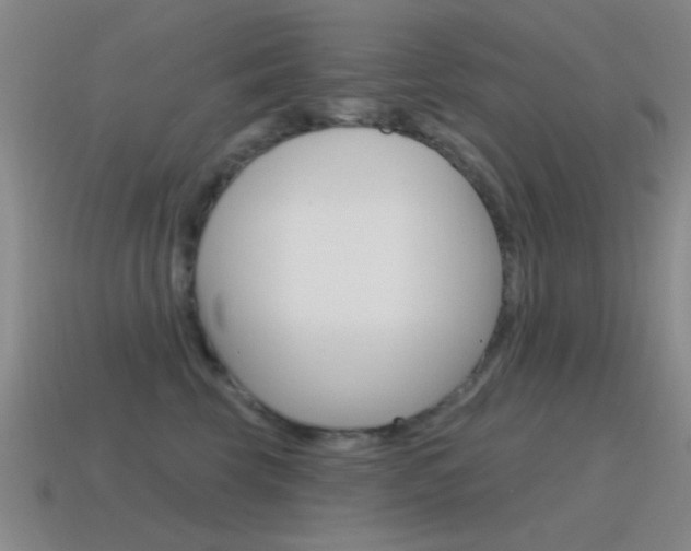 X0000115650569200911101119