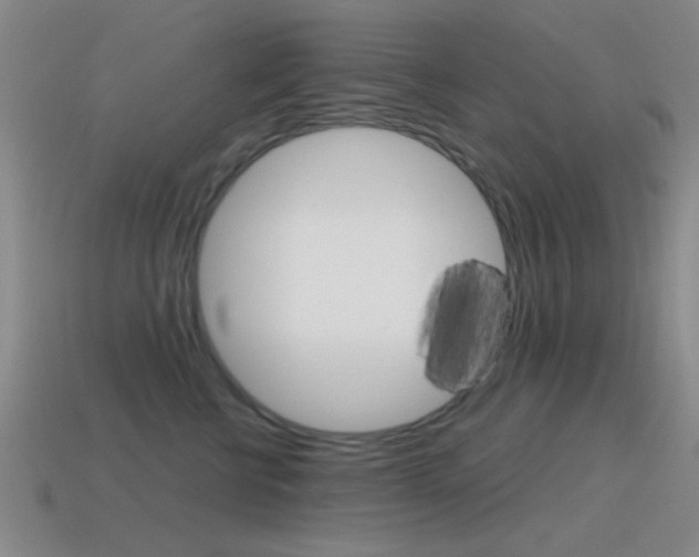 X0000115650570200911101119