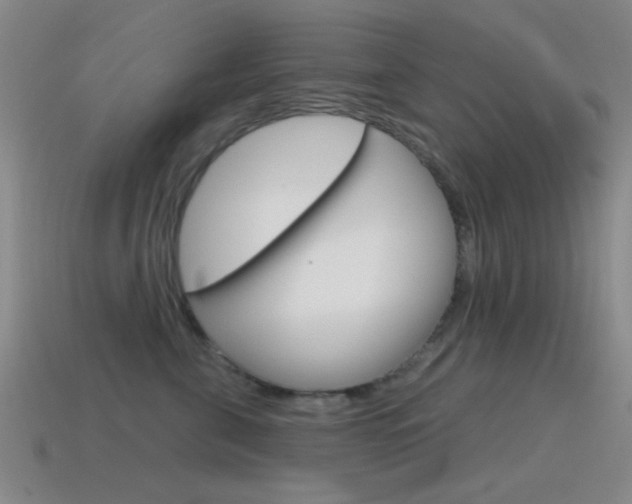 X0000115650571200911101119