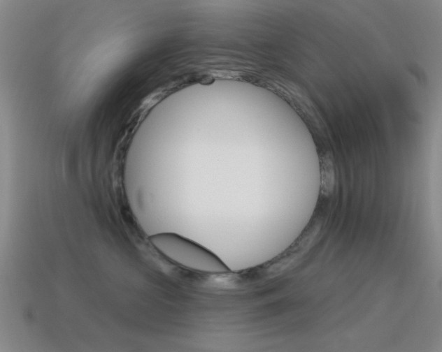 X0000115650573200911101119