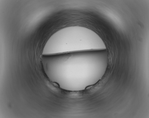 X0000115650574200911101119