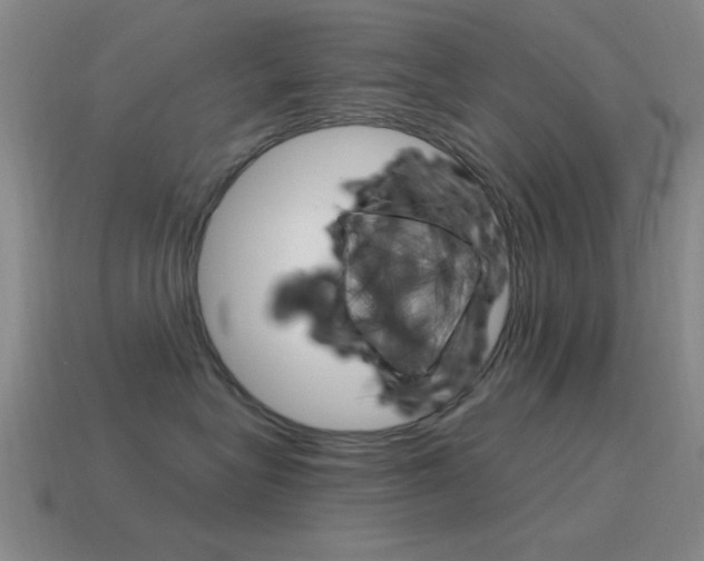X0000115650575200911101119