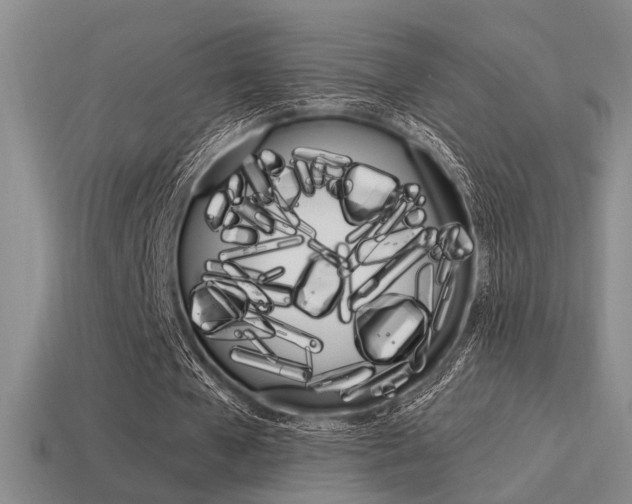 X0000115650577200911101118