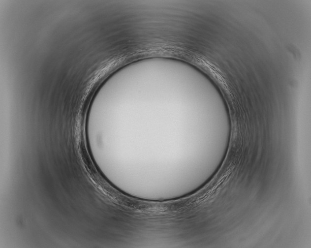 X0000115650578200911101118